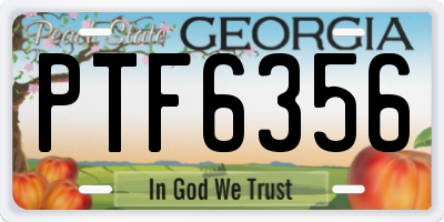 GA license plate PTF6356