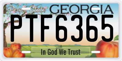 GA license plate PTF6365