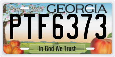 GA license plate PTF6373