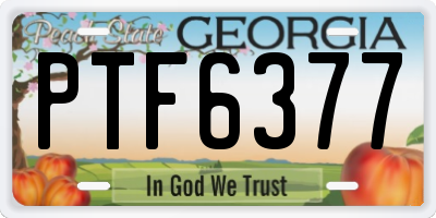 GA license plate PTF6377