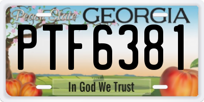 GA license plate PTF6381
