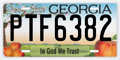 GA license plate PTF6382
