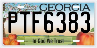 GA license plate PTF6383