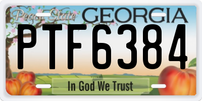 GA license plate PTF6384