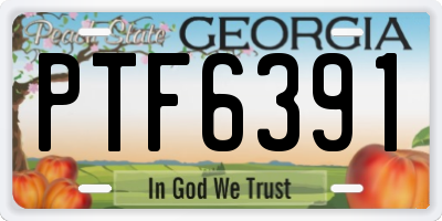 GA license plate PTF6391