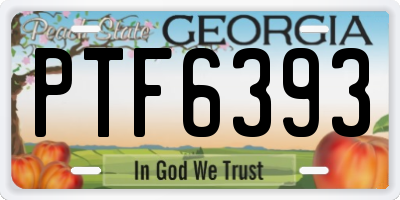 GA license plate PTF6393