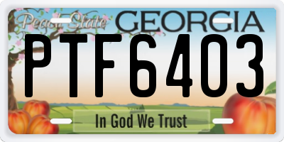 GA license plate PTF6403