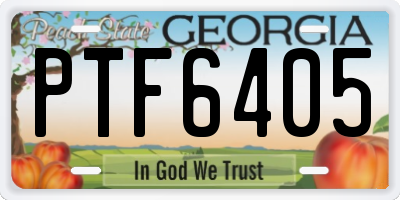 GA license plate PTF6405