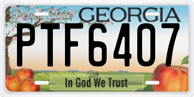 GA license plate PTF6407