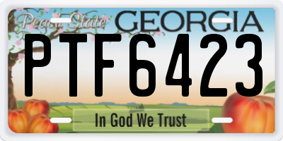 GA license plate PTF6423