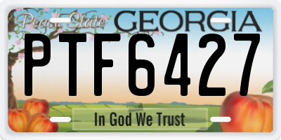 GA license plate PTF6427
