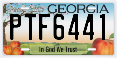 GA license plate PTF6441