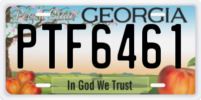 GA license plate PTF6461