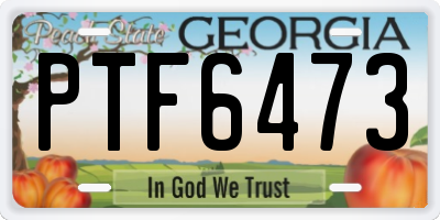GA license plate PTF6473