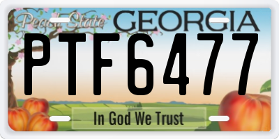 GA license plate PTF6477