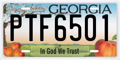 GA license plate PTF6501