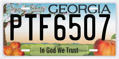 GA license plate PTF6507