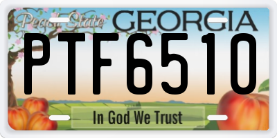 GA license plate PTF6510