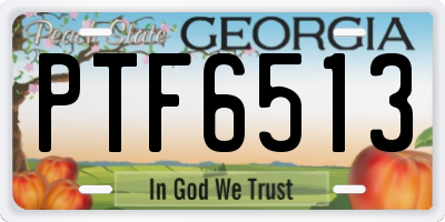 GA license plate PTF6513