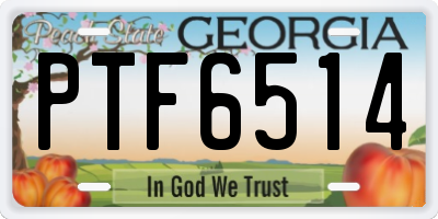 GA license plate PTF6514
