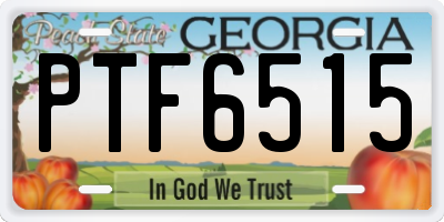 GA license plate PTF6515