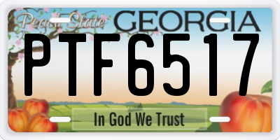 GA license plate PTF6517