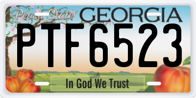 GA license plate PTF6523