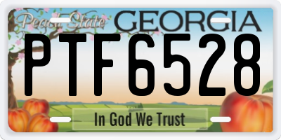 GA license plate PTF6528