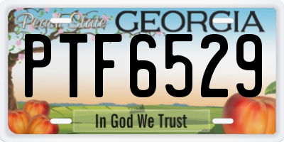 GA license plate PTF6529