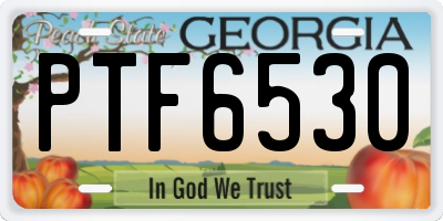 GA license plate PTF6530
