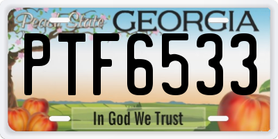GA license plate PTF6533