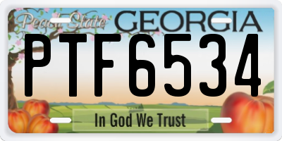 GA license plate PTF6534