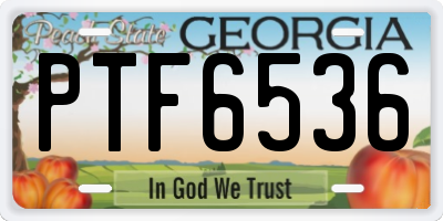 GA license plate PTF6536