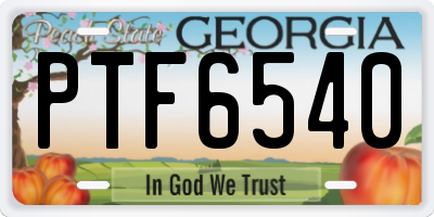 GA license plate PTF6540