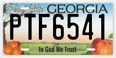 GA license plate PTF6541