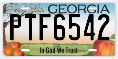 GA license plate PTF6542