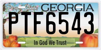 GA license plate PTF6543
