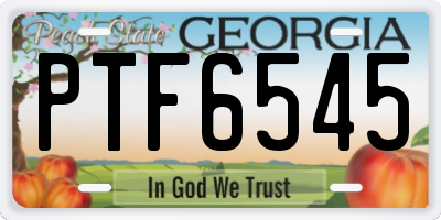 GA license plate PTF6545