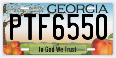 GA license plate PTF6550