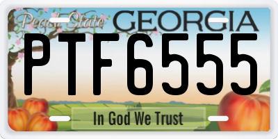 GA license plate PTF6555