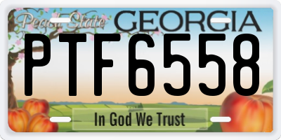 GA license plate PTF6558