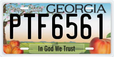 GA license plate PTF6561