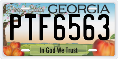 GA license plate PTF6563
