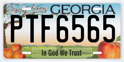 GA license plate PTF6565