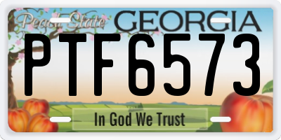 GA license plate PTF6573