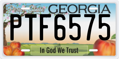 GA license plate PTF6575