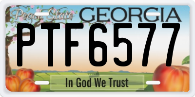 GA license plate PTF6577