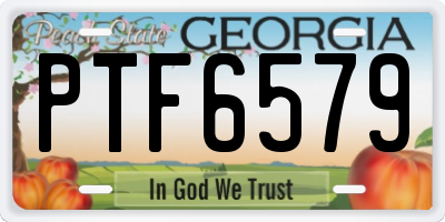 GA license plate PTF6579