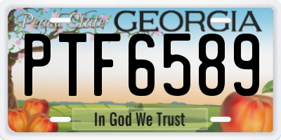 GA license plate PTF6589