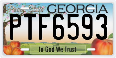 GA license plate PTF6593